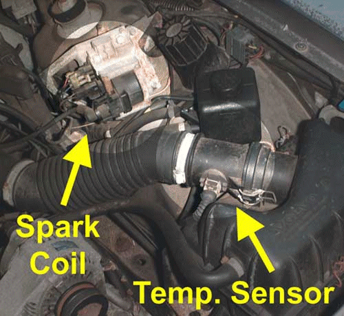 Rex-Regina Coil and Air Temp Sensor