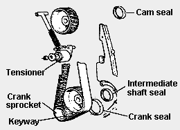 Timing Belt and Seals